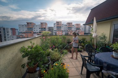 Çiçek saksılarıyla dolu şehirde kocaman bir teras ve çiçek saksılarındaki çiçeklere su döken bir kız.