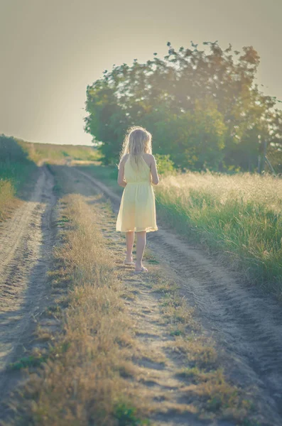 Menina Adorável Com Longos Cabelos Loiros Caminho Rural Atmosfera Verão — Fotografia de Stock