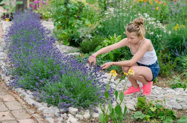 Warna Warni Taman Dengan Bunga Ungu Lavender Dan Anak Dengan — Stok Foto