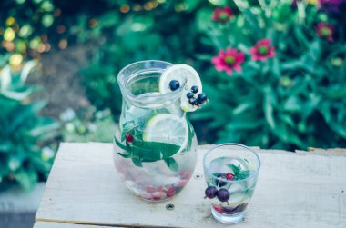 Bahçedeki masada içecek, frenk üzümü, limon ve meyve dolu vitamin.