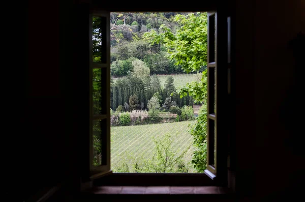 Grüne Natur Vom Offenen Fenster Aus Gesehen Kontrast Draußen Und — Stockfoto