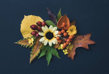 flowers, red berries, green and yellow leaves isolated on black background clipart