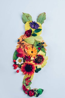 Çiçeklerden yapılmış kedi, kırmızı böğürtlen, yeşil ve sarı yapraklar beyaz arkaplanda izole edilmiş.