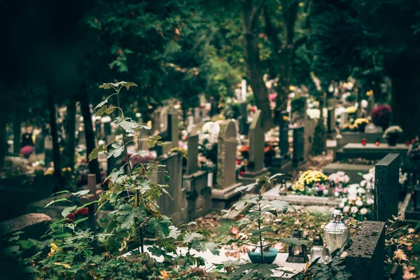 Dekorativní Květiny Svíčky Věnec Hrobce Hřbitově — Stock fotografie