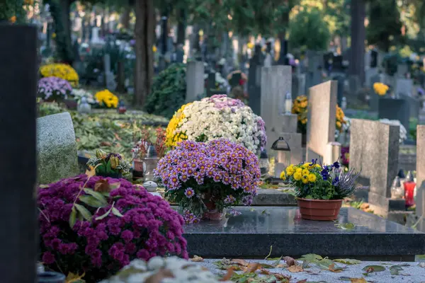Hrob Zdobený Lucernou Svíčkami Květy Chryzantémy Během Dne Všech Duší Stock Fotografie