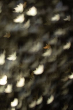 # Parıldayan, neşeli, Noel arkaplanı #