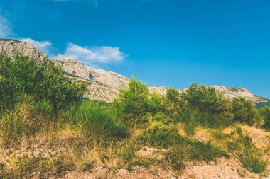 Mavi gökyüzü, yeşil çalılı kayalık dağ, sıcak yaz atmosferi