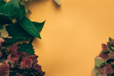 Klasik renkli ortanca çiçeği, yapılandırılmış desen