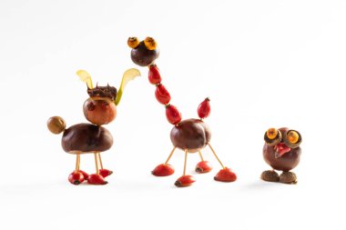 Sonbahar meyveleri, kestaneler, koniler, mayınlar, meşe palamutları, böğürtlenler, izole edilmiş