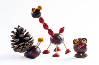 Sonbahar meyveleri, kestaneler, koniler, mayınlar, meşe palamutları, böğürtlenler, izole edilmiş