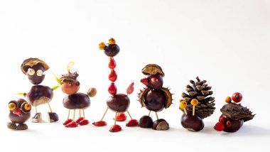 Sonbahar meyveleri, kestaneler, koniler, mayınlar, meşe palamutları, böğürtlenler, izole edilmiş