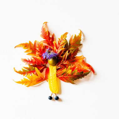 Yaprak ve çiçeklerden renkli peri figürleri, sonbahar zanaatı, diy fikirleri, dinginlik, turuncu tavus kuşu