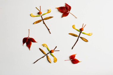 Canlı yapraklardan, yaratıcılıktan, sonbahar titreşimlerinden, şeytani sanatlardan yapılmış renkli yusufçuk., 