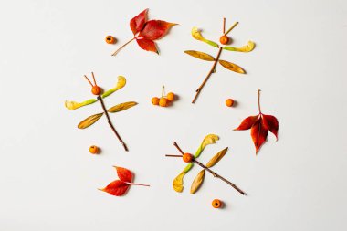 Canlı yapraklardan, yaratıcılıktan, sonbahar titreşimlerinden, şeytani sanatlardan yapılmış renkli yusufçuk., 