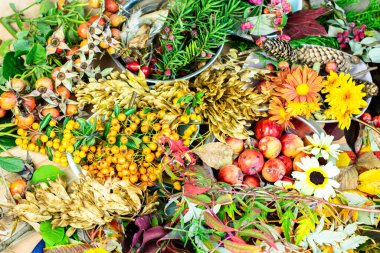 Renkli sonbahar, bitkiler, meyveler ve yapraklar