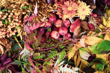 kırmızı kiraz, turuncu dut, kozalak, yeşil bitkiler, renkli yapraklar, sonbaharın sembolleri, yaratıcı sonbahar fikirleri için zanaat