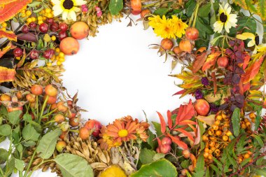 kırmızı kiraz, turuncu dut, kozalak, yeşil bitkiler, renkli yapraklar, sonbaharın sembolleri, yaratıcı sonbahar fikirleri için zanaat