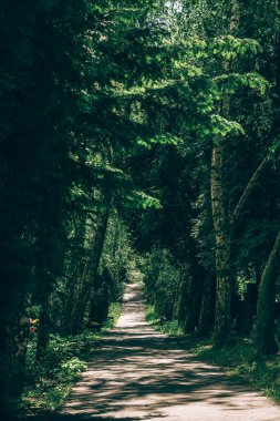 Dini mekan, koridor boyunca mezarlar 