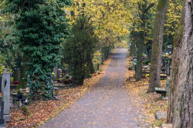 Fenerlerle süslenmiş mezarlar, yanan mumlar, renkli kasımpatı çiçekleri, katolik semboller.
