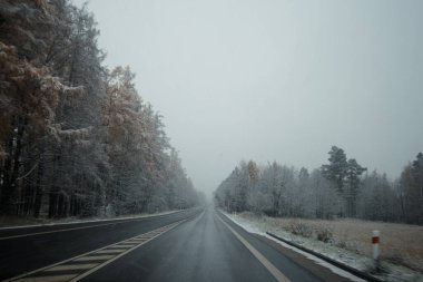 Kışın kaygan yol boyunca karla kaplı ağaçlar.