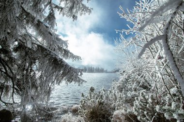 Kış mevsiminde Slovakya 'da Strbske pleso Gölü