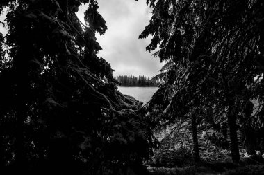 Kış mevsiminde Slovakya 'daki Strbske pleso gölünde dramatik bir görüntü var.