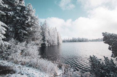 Kış mevsiminde Slovakya 'da Strbske pleso Gölü