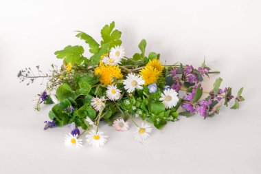 Mor ölü ısırgan otu, beyaz papatya, sarı karahindiba çiçeği, menekşe çiçeği, chickweed, celandine majus, beyaz otlar