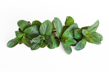 Beyaz arkaplanda taze yeşil nane yaprakları