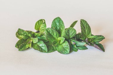Beyaz arkaplanda taze yeşil nane yaprakları