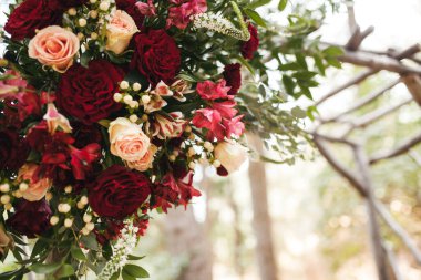 Klasik bentwood sandalyeleri olan kozalaklı ormanlarda yapılan klasik ahşap kemer, kırmızı ve pembe güller.