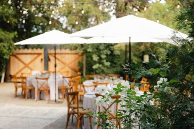 Arka bahçe düğün resepsiyonu - beyaz masa örtülü yuvarlak masalar, klasik fenerler, güller ve sümbül sandalyeler,