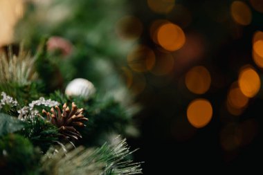Noel arkaplanları - yeşil noel ağacı brandaları, rd ve altın süsler, sicim ışıkları.