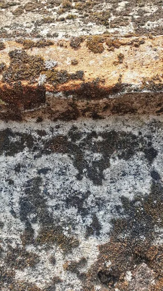 Engebeli bir kaya yüzeyinin yakın çekimi, yeryüzünün doğal tabakalarıyla süslenmiş, doğanın güçlerinin bir kanıtı.