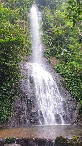 A stunning waterfall cascading down a rocky cliff surrounded by lush green vegetation. Perfect for themes of nature, tranquility, and outdoor beauty