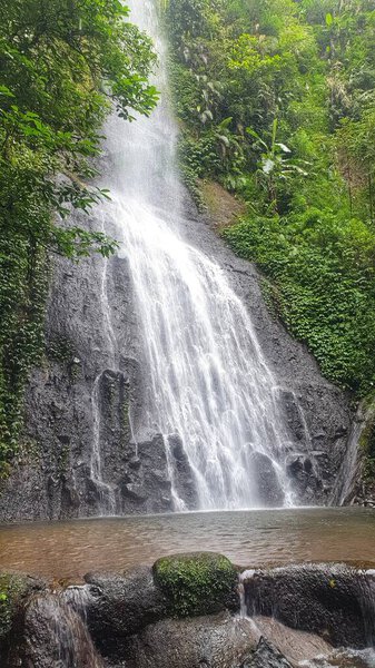 A stunning waterfall cascading down a rocky cliff surrounded by lush green vegetation. Perfect for themes of nature, tranquility, and outdoor beauty