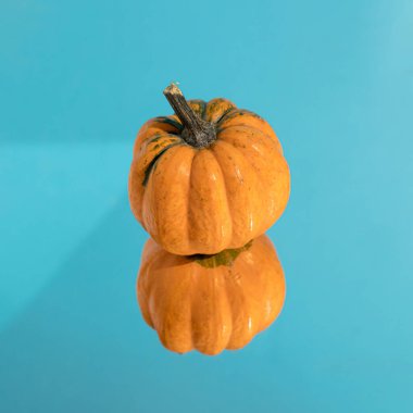 Mavi arka planda ayna yansımalı turuncu doğal balkabağı. En az Cadılar Bayramı ya da Şükran Günü konsepti.