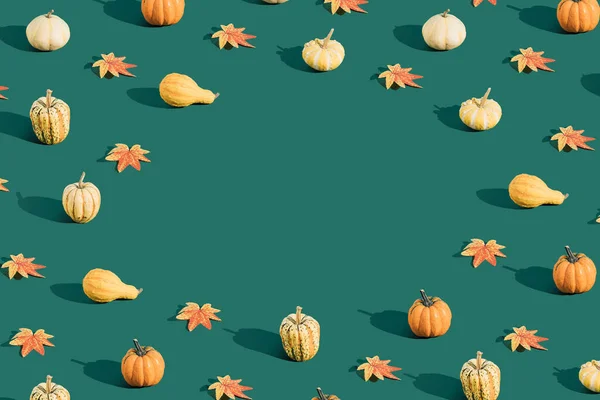 Kreativer Halloween Hintergrund Mit Bunten Natürlichen Kürbissen Und Herbstblättern Auf — Stockfoto