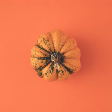 Turuncu arka planda turuncu balkabağı olan Cadılar Bayramı konsepti. En az tatil geçmişi.