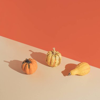 Birkaç doğal renkli balkabağı ve turuncu arka planlı minimum sonbahar sahnesi. Sonbahar tatili konsepti.