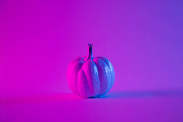Calabaza Halloween Colores Holográficos Gradiente Audaz Vibrante Arte Conceptual Concepto — Foto de Stock