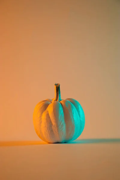 Cadılar Bayramı kabağı canlı, kalın, gradyan holografik renklerle. Sanat kavramı. En az bayram yemeği konsepti.