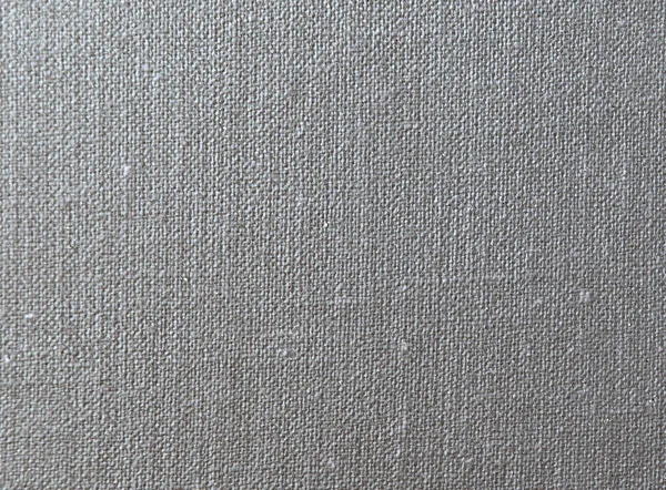 Gray Canvas Texture Scratches Cracks — 스톡 사진