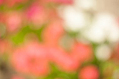 soyut arkaplan, çiçekli bulanık arkaplan, yumuşak odak