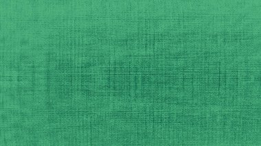 Doğal arka plan olarak yeşil dokular. en üstteki görünüm. 