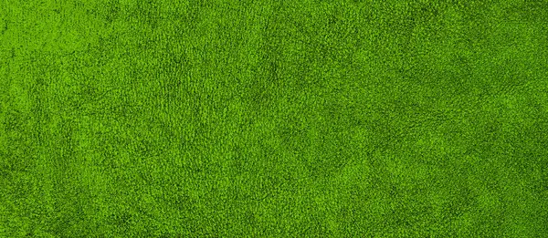 yeşil deri dokusu arkaplanı. 