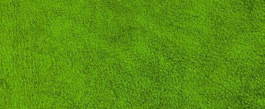 yeşil deri dokusuna