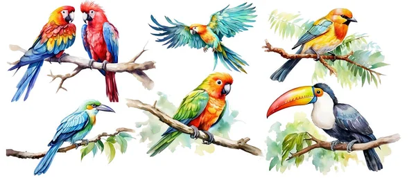 Aquarell Gefärbte Vögel Set Vorhanden Tropische Vögel Papageien Tukane Rosellen — Stockvektor