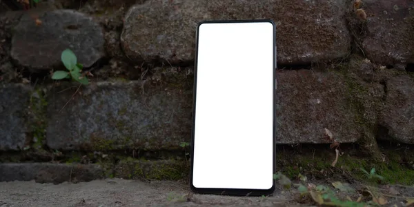 black blank screen with white screen on a stone wall in the forest.