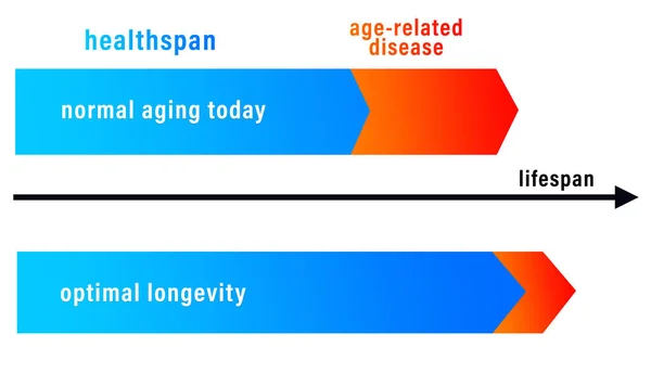 healthy life of old and healthy and aging